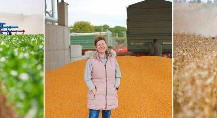 A KWS mátrix bevált a gyakorlatban!