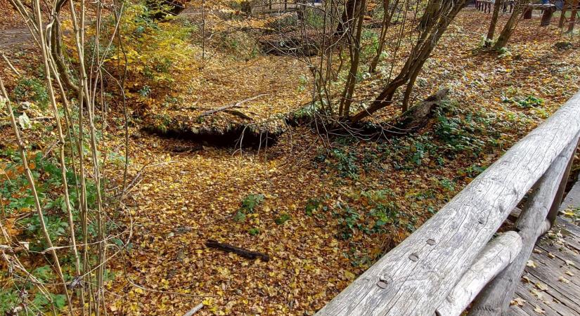 Kiszáradt a Szalajka-patak felső része