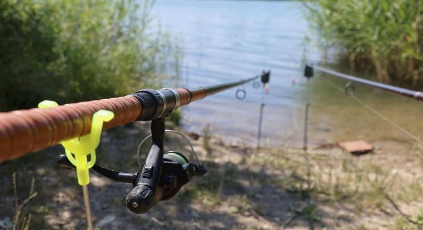 Öten lopni egy halat? Azt hogy?! – itt a Látóképi sztori, amit elsőre mi sem akartunk elhinni!