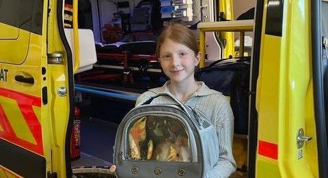 Tíz sérült az M1-es balesetben – a mentők a család nyuszijáról is gondoskodtak