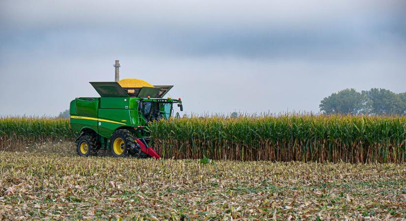 Visszaesett a búzatermés, de agrárnagyhatalom maradt ez az alföldi vármegye