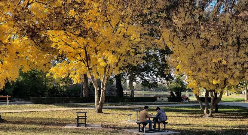 Elhoztuk a hét legjobb pillanatait (galéria)