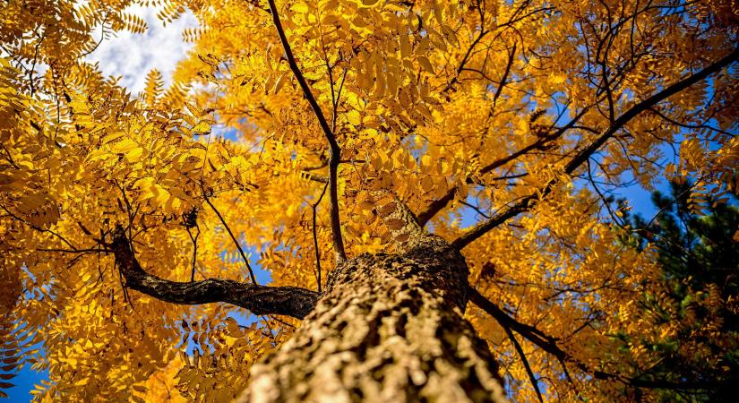 Alig volt eső a Tiszántúlon októberben