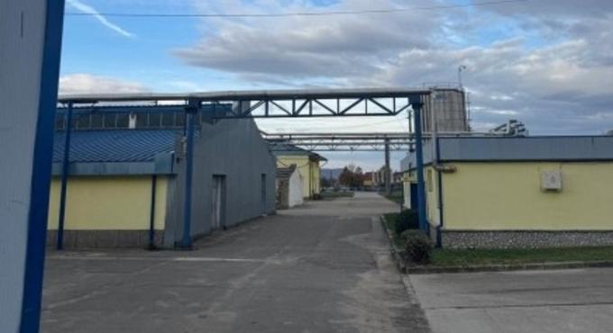 Lecsapott a hatóság a Micula fivérekre