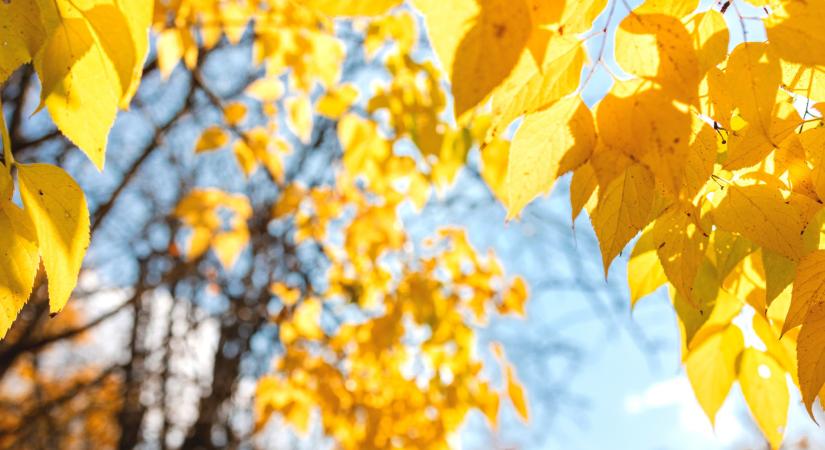 Olyan dolog történt Magyarországon, amire 35 éve nem volt példa