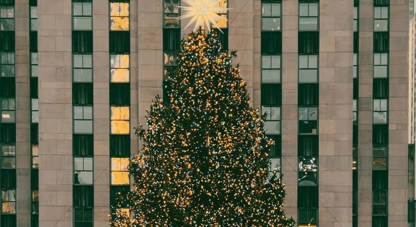 Megvan 2025 karácsonyfája, íme az 20 méteres, 75 éves fenyő