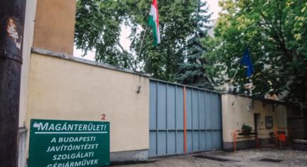 A volt Szőlő utcai nevelő szerint Juhász Péter Pál ellenőrzés nélkül vihetett ki gyerekeket az intézetből