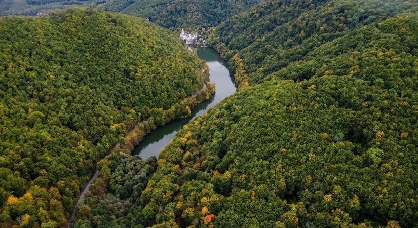 Teljes a készültség, hatalmas a baj! Megszólalt a rendőrség a Bükkben eltűnt nőről