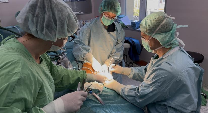 Megnyílt a Bethesda Sportegészségügyi Központja