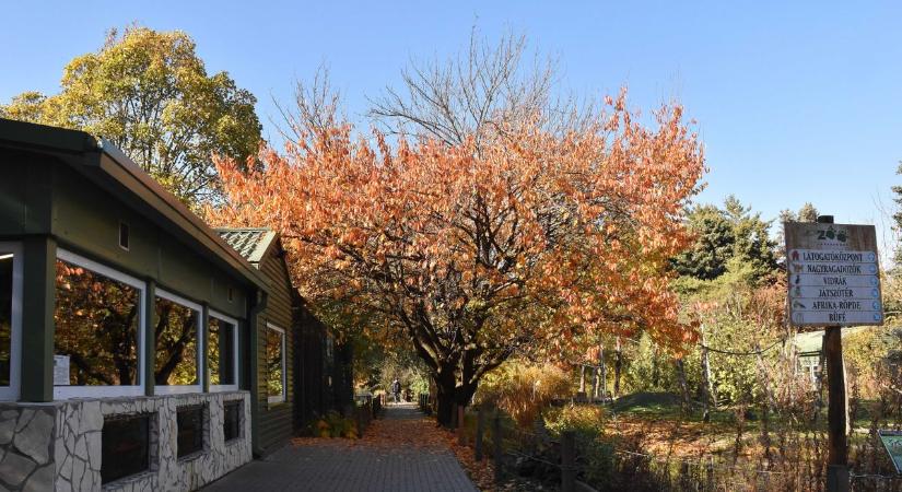 Jászberényben leszakad az ég? – ezt hozza a holnapi időjárás