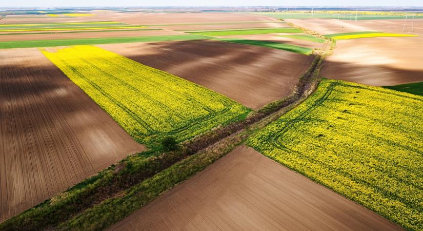 Soha nem látott árakon cserél gazdát a föld a határ túloldalán
