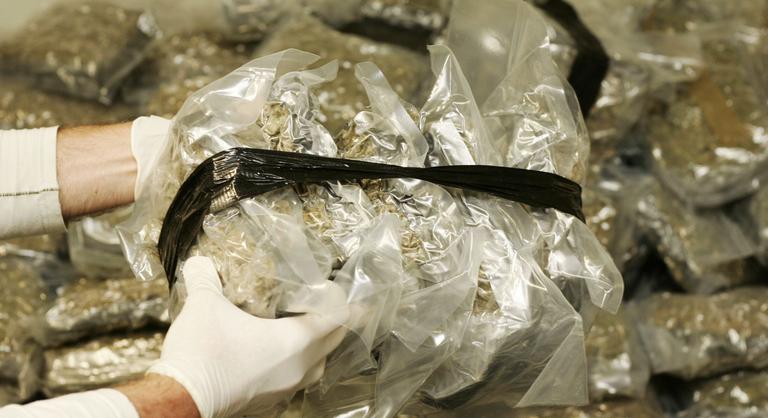 Húsz tonna kannabiszt foglaltak le idén Antwerpen kikötőjében