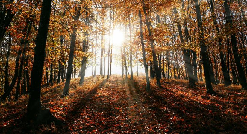 Felmelegedések és lehűlések váltják egymást, de az átlagosnál melegebb két hét elé nézünk