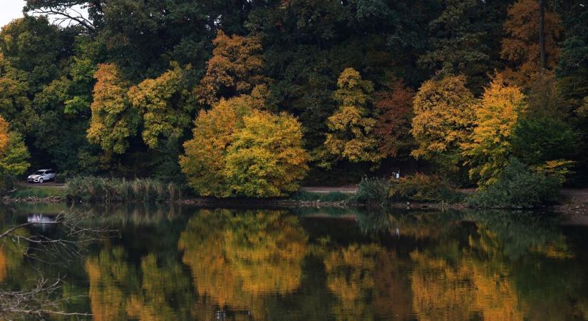 Szennyvizet engedtek a Desedába, környezetkárosítás miatt nyomoz a rendőrség