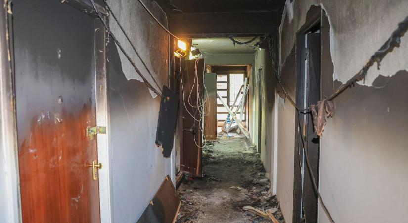 Ott voltunk! A kutya jelezte, hogy baj van, aztán kiderült: tűz ütött ki a házban (FOTÓK)