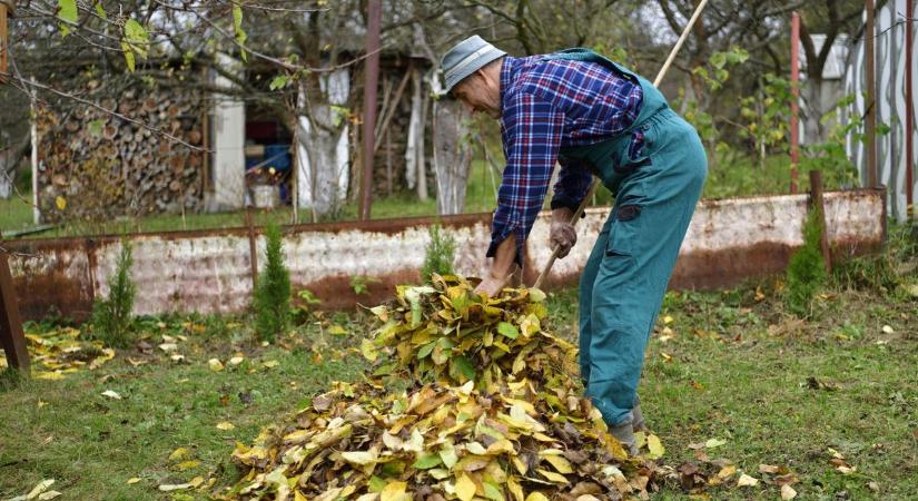 Tényleg össze kell gereblyézni az összes őszi falevelet?