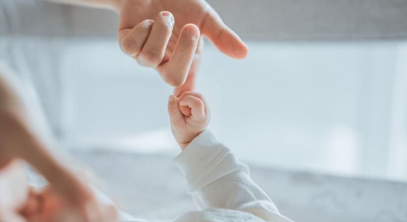 Kiskunhalasi anyakönyvi hírek