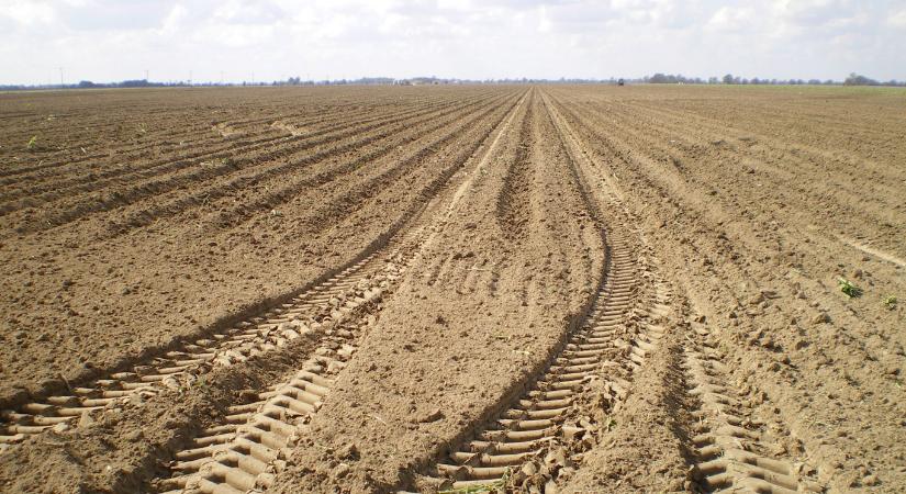 1,7 milliárd ember élelmezését veszélyezteti a termőföldek leromlása