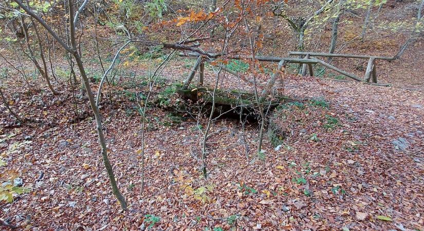 Száraz a patakmeder: a csapadékosabb időjárásban reménykedik a fél ország