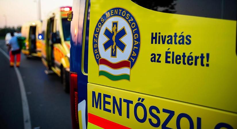 Hősies cselekedet: életet mentettek édesapjukkal egy debreceni általános iskola tanulói