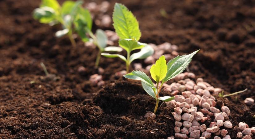 Elképesztő, mi minden befolyásolja a műtrágyák és a granulálók piacát