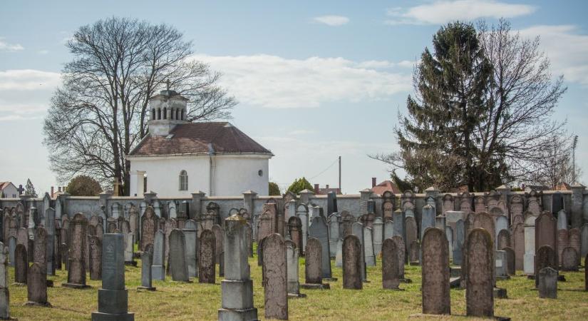 Önkéntesek jelentkezését várják tereprendezéshez