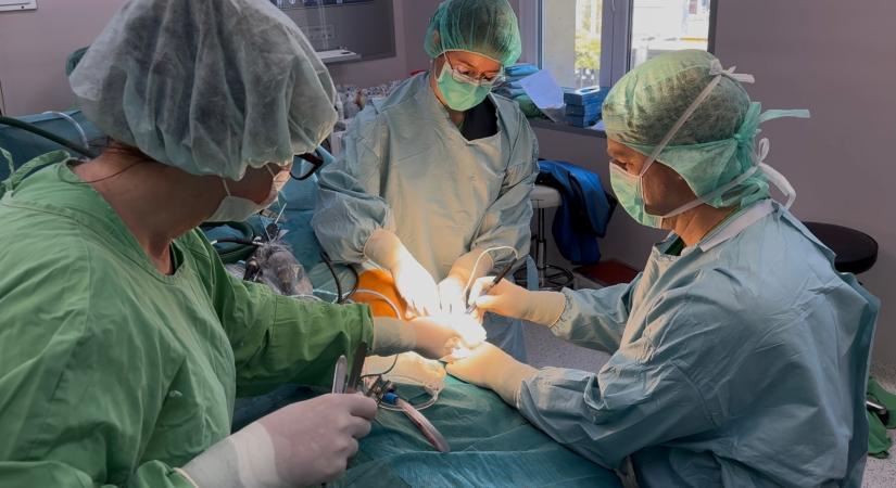 A fiatal sportolókat segíti a Bethesda új Sportegészségügyi Központja