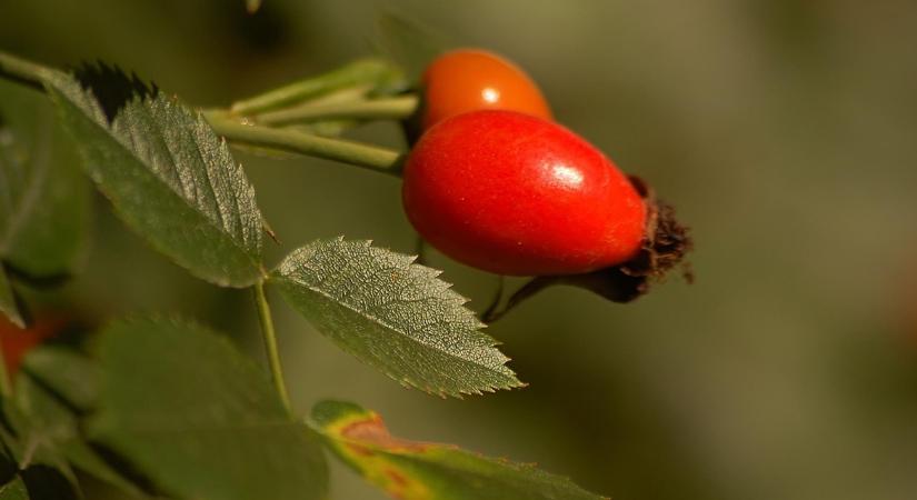Időjárás: Levonul az eső, ez marad a nyomában VIDEÓ