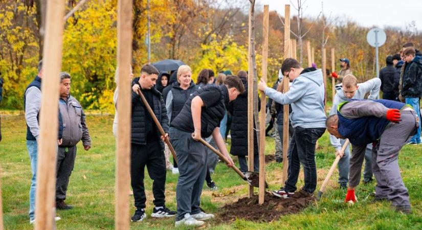Civilek és politikusok ragadtak szerszámot Pallagon