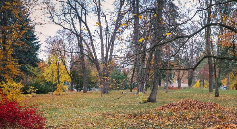 Viszonylag csendes, őszi napot ígér az időjárás holnap Borsod számára