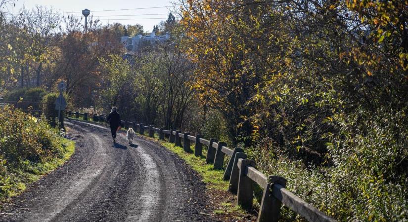 Így ér ki biztonságban a 74-es főútra, ráadásul a port sem veri fel (galéria, videó)