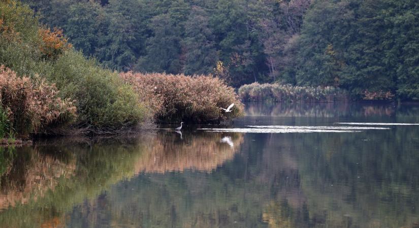 Milyen idő lesz holnap Kaposváron? Napfény, enyhe szellő és hűvös este vár ránk!