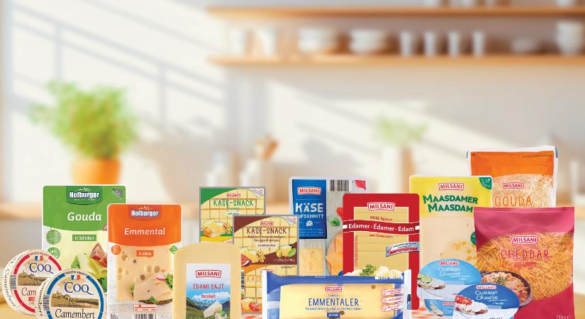 Három éve nem látott árszint a sajtoknál: ismét árat csökkentett az ALDI