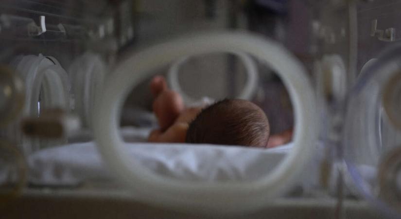 Az inkubátorban hagyott csecsemők feléért visszamennek, ha a szülő segítséget kap