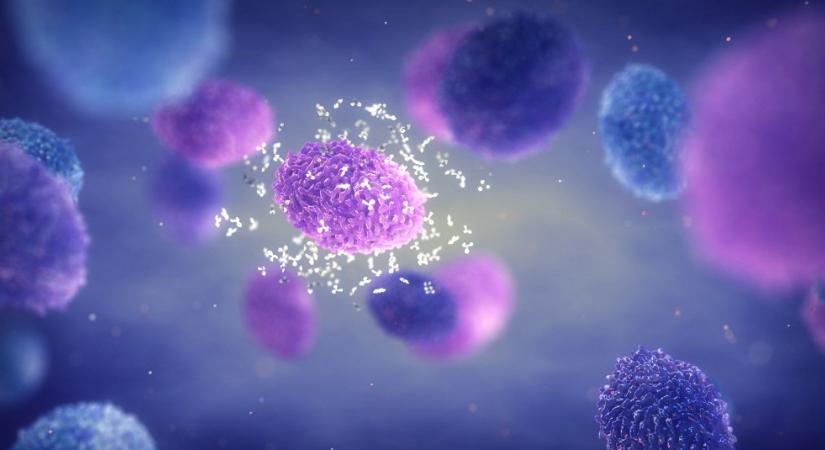 Kaliforniában is felfedezték az új majomhimlő-variánst