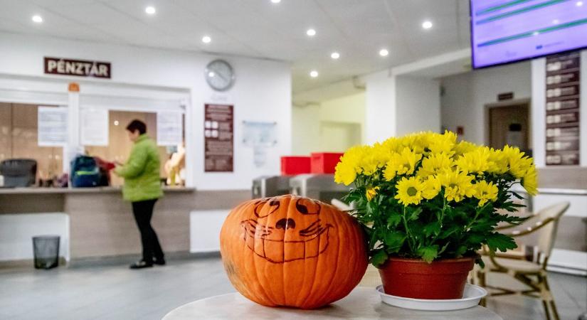 Újranyitott a miskolci fürdő, mától bárki birtokba veheti - fotókkal, videóval