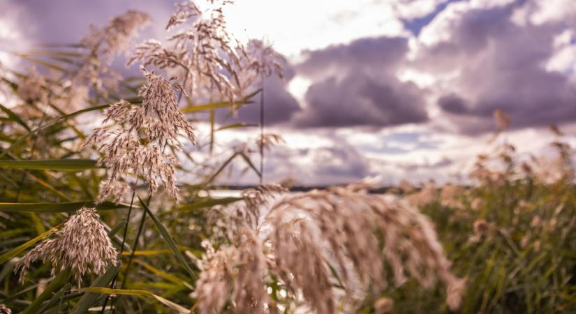 Esős reggel, napos délután: változékony kedd vár Tatabányán
