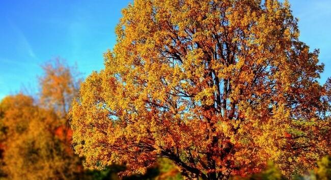 Ősz eső nélkül – szokatlanul száraz októbert hozott 2025