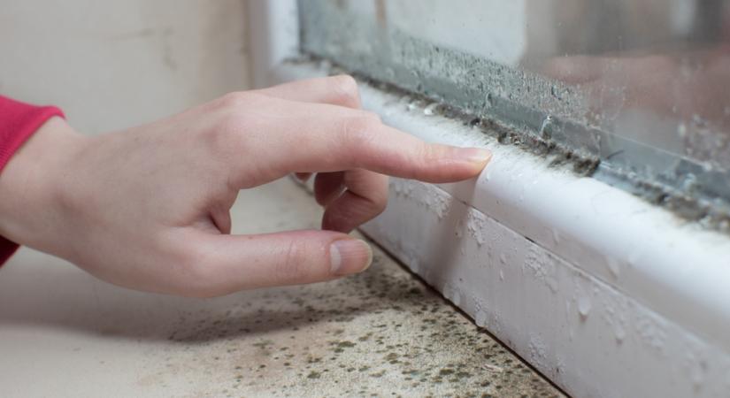 Pára, dohos szag és penész az otthonodban? Így szabadulhatsz meg tőle egyszerűen!