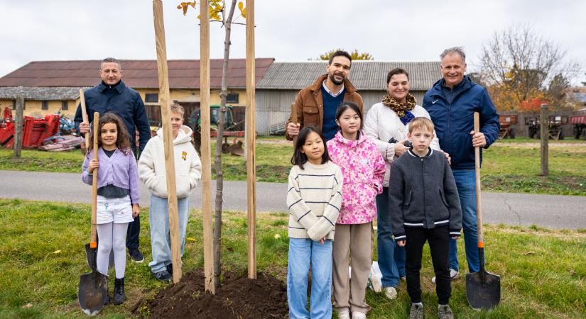 Politikusok és gyerekek: így zajlott a közösségi faültetés Pallagon