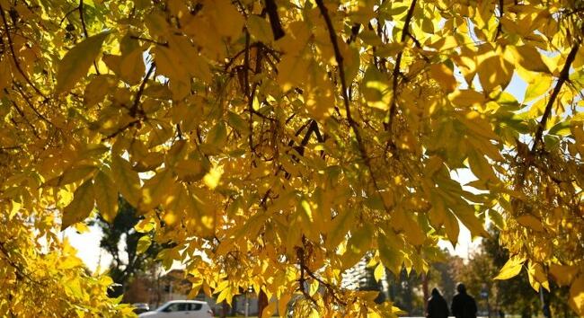 November eleji fordulat: a front után visszatér az igazi őszi időjárás kedden