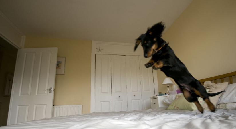 Napi horoszkóp 2025. 11. 04.: Tágul a világ, de ne ugorj fejest!