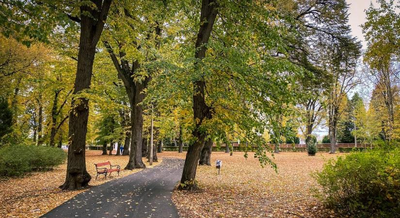 Kellemes őszi időnk lehet kedden