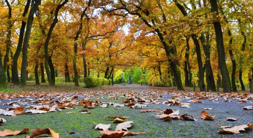 Nagy veszélyben vannak az autósok, mindenki nagyon vigyázzon