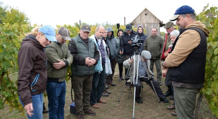 Talaj & Terroir – a minőségi bor a talajban gyökerezik