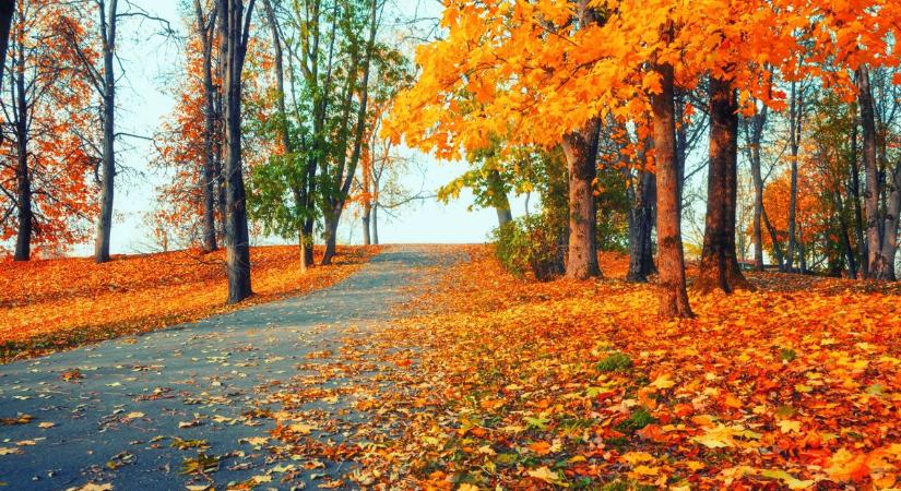 Keddi időjárás – visszatér a napsütés