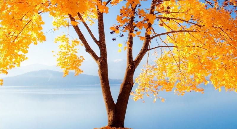 Visszatér a nyugodt őszi idő