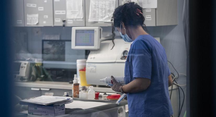 A kamarai elnök szerint Takács Péter egyszerűen nem érzékeli a szakdolgozók helyzetét