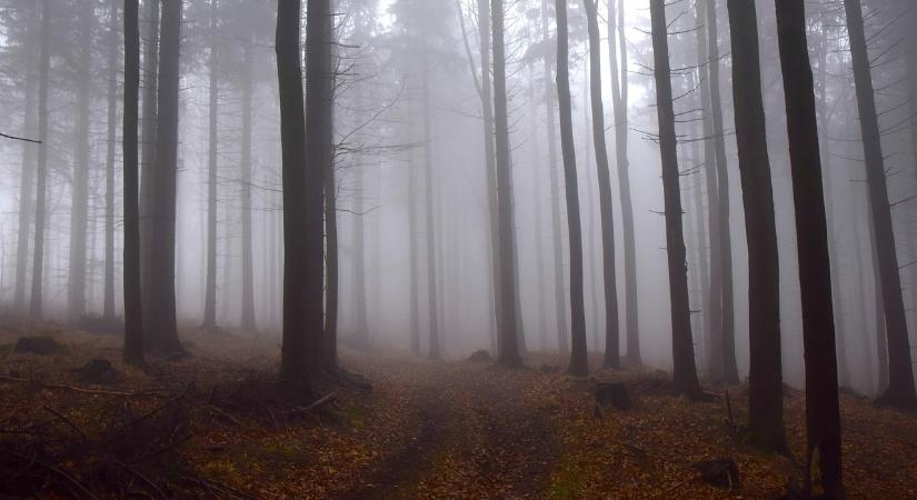 Kevesebb csapadékra, de annál több hidegre lehet ma számítani