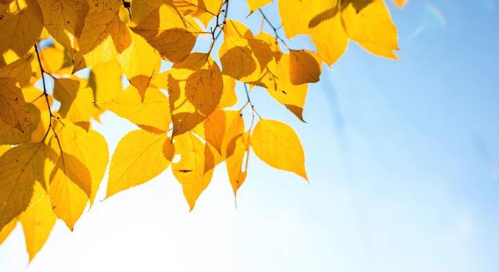 Nem várt fordulat az időjárásban: ilyenkor szokatlan hőmérséletet hoz a délután